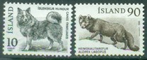 [Fauna - Icelandic Dog and Arctic Fox, tip LN]