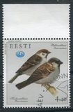 [House and Tree Sparrow, type JT]