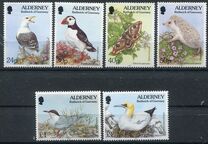 [Flora and Fauna, տեսակ BY]