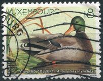 [Ducks, type ARP]