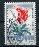 [Gent Flower Festival, type XT]
