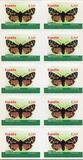 [Moths - Self-Adhesive, տեսակ FQC]