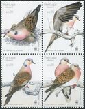 [Birds - Turtle Dove, tip HB]