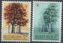 [Trees - Nature Protection Year, type ALN]