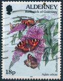 [Fauna and Flora - New Values, type CV]