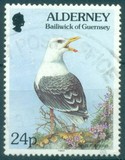 [Flora and Fauna, տեսակ BY]