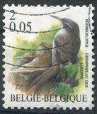 [Birds, タイプ CII]