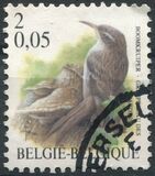 [Birds, タイプ CII]