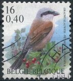 [Birds, Tüüp CGX]