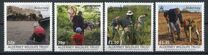 [The 20th Anniversary of the Alderney Wildlife Trust, tipas ABQ]