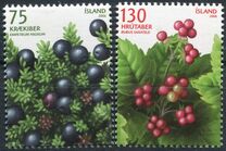 [Wild Berries, type AHB]