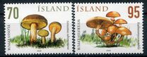 [Wild Mushrooms, type AHI]