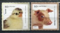 [The Young of Iceland‘s Domestic Animals, type AYC]