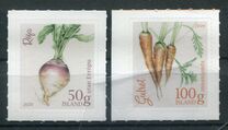 [Icelandic Garden Vegetables, type AYI]