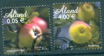 [Apples, Tipi MB]