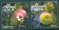 [Apples, Tipi MB]