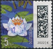 [World of Letters, тип DQN]