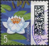 [World of Letters, тип DQN]