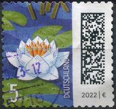 [World of Letters, тип DQN]