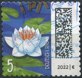 [World of Letters, тип DQN]