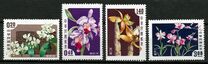 [Taiwan Orchids, Scrivi BW]