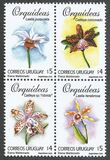 [Orchids, Tip BPG]
