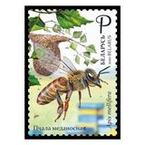 [Beekeeping in Belarus, Typ BBO]