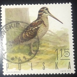 [Bird Game, type BGW]