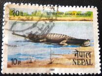 [Animal Protection, type LE]