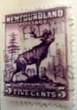 [Newfoundland Issue - New Colors and Values, type DS3]