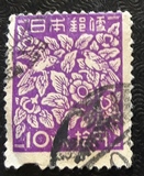 [Japanese Culture - without Chrysantemum, tegund HM]