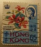 [Local Motives, type BN]