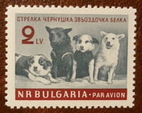 [Soviet Space Dogs - Strelka, Chernushka, Zvezdochka and Belka, Tipo ANB]