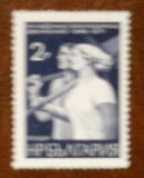 [The 25th Anniversary of the Young Brigades, タイプ BUQ]