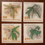 [Ferns, type AKL]