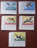 [Aves. Aéreos., tipo KD]