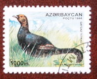 [Flora and Fauna, type HA]