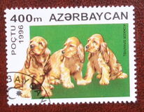 [Dogs, Tüüp IK]