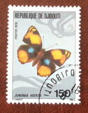 [Butterflies, 类型 Y]