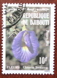 [Flowers, type DS]