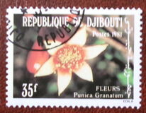 [Flowers, type DU]