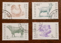[Domestic Animals, type EKH]