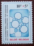 [Red Cross, タイプ BAY]