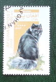 [Cats, type AUV]