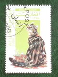 [Cats, type AUW]