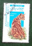 [Cats, type AUT]