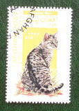 [Cats, type AUU]