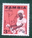 [Local Motifs, type D]