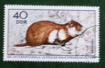 [International Fur Auction in Leipzig, type ARX]