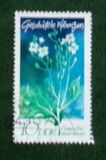 [Protected Plants, type ASQ]